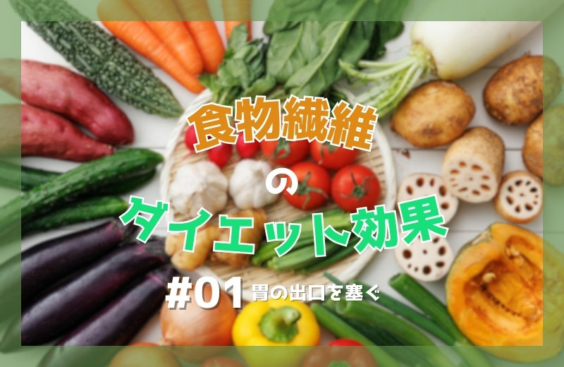 食物繊維のダイエット効果（1）胃の出口を塞ぐ