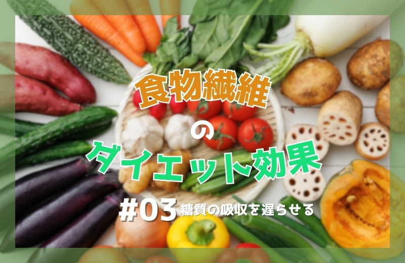食物繊維のダイエット効果(3)糖質の吸収を遅らせる