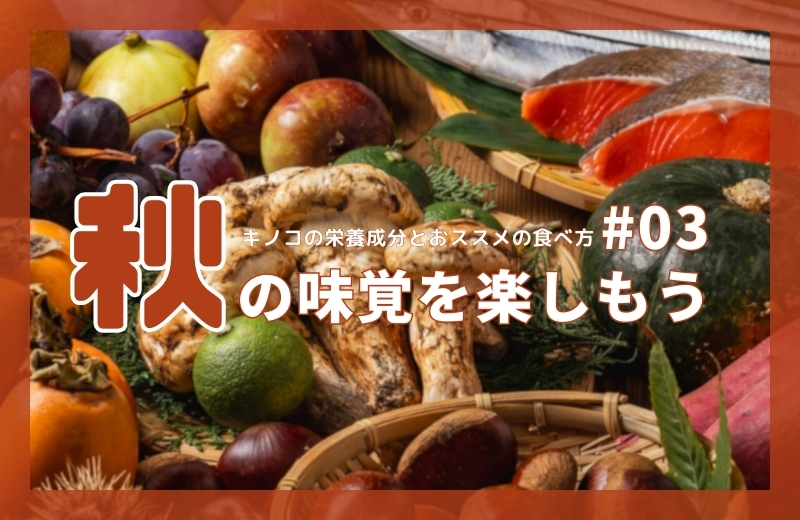 秋の味覚を楽しもう③～キノコの栄養成分とおススメの食べ方