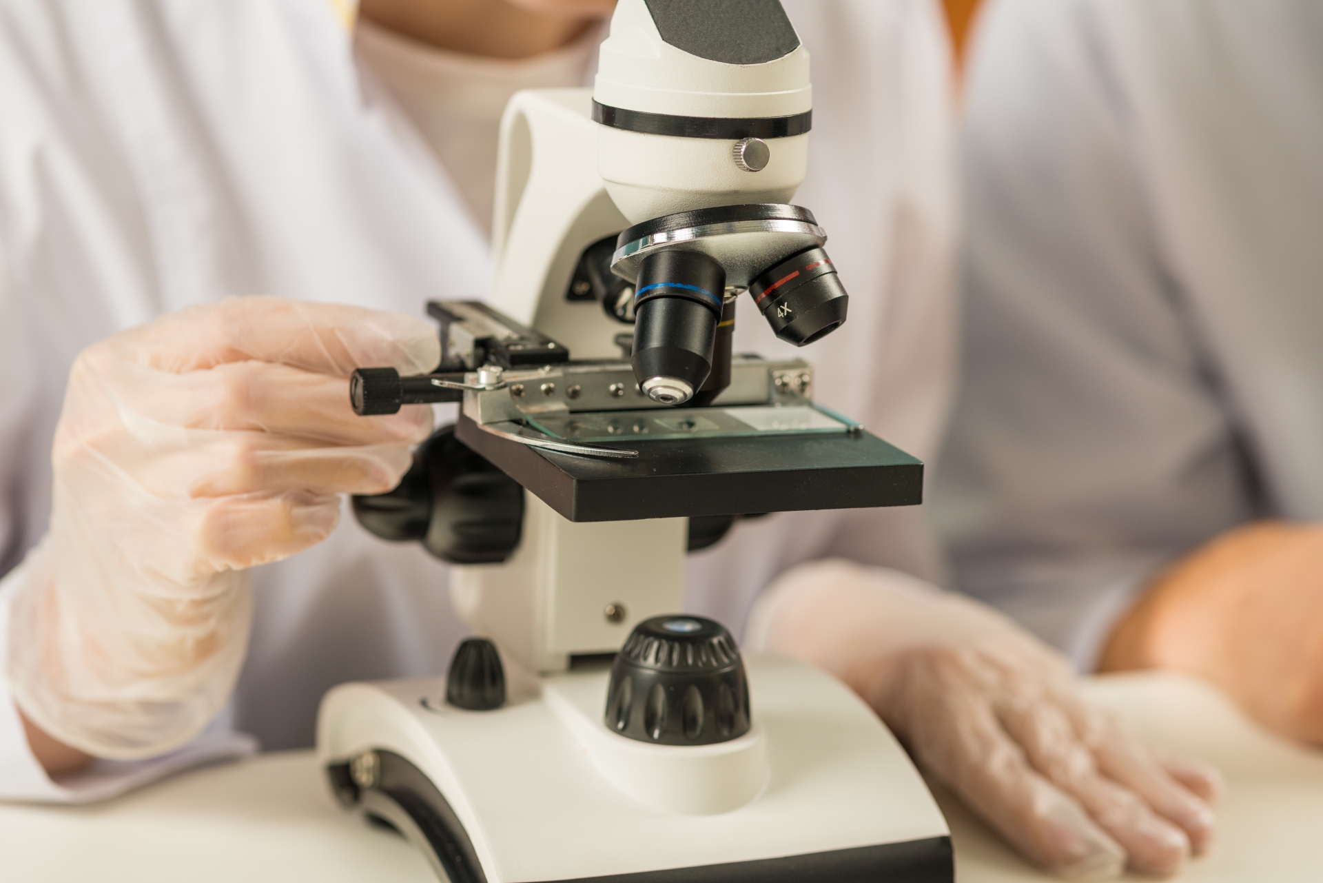 日本のすごい化粧品成分