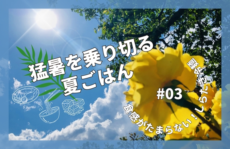 猛暑を乗り切る夏ごはん③～食感がたまらない！しらたき冷麺