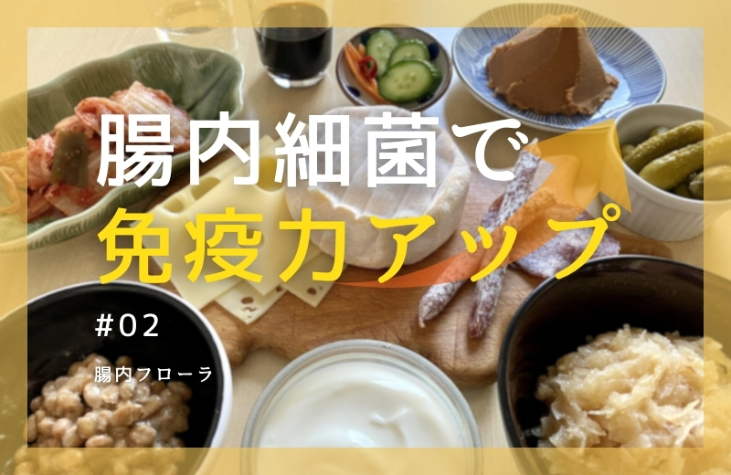 腸内細菌で免疫力アップ②～腸内フローラ
