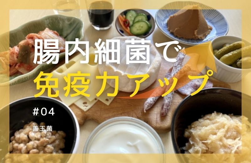 腸内細菌で免疫力アップ④～善玉菌