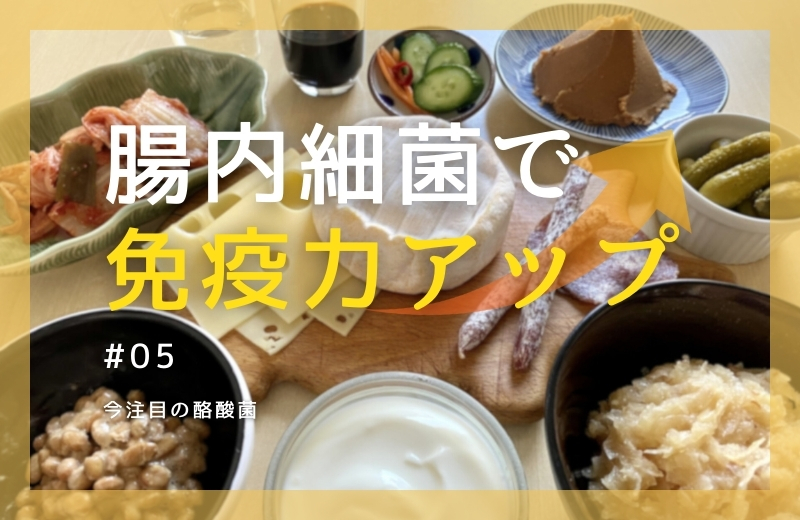 腸内細菌で免疫力アップ⑤～今注目の“酪酸菌”