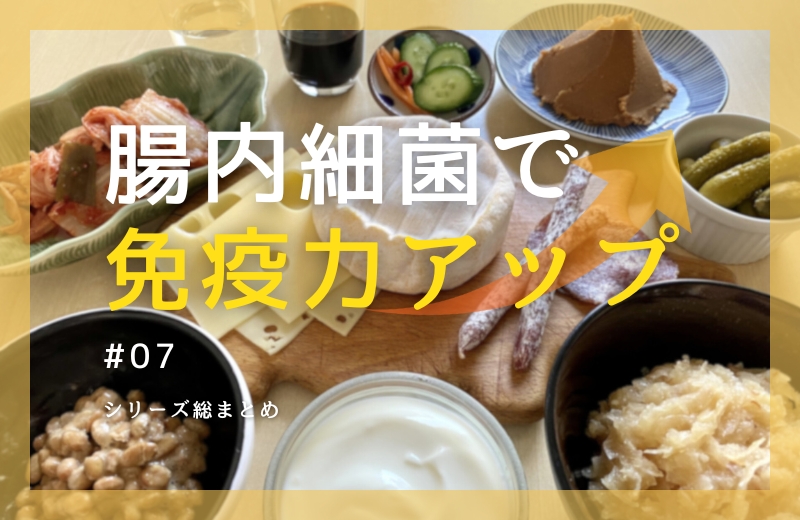 腸内細菌で免疫力アップ⑦~シリーズ総まとめ