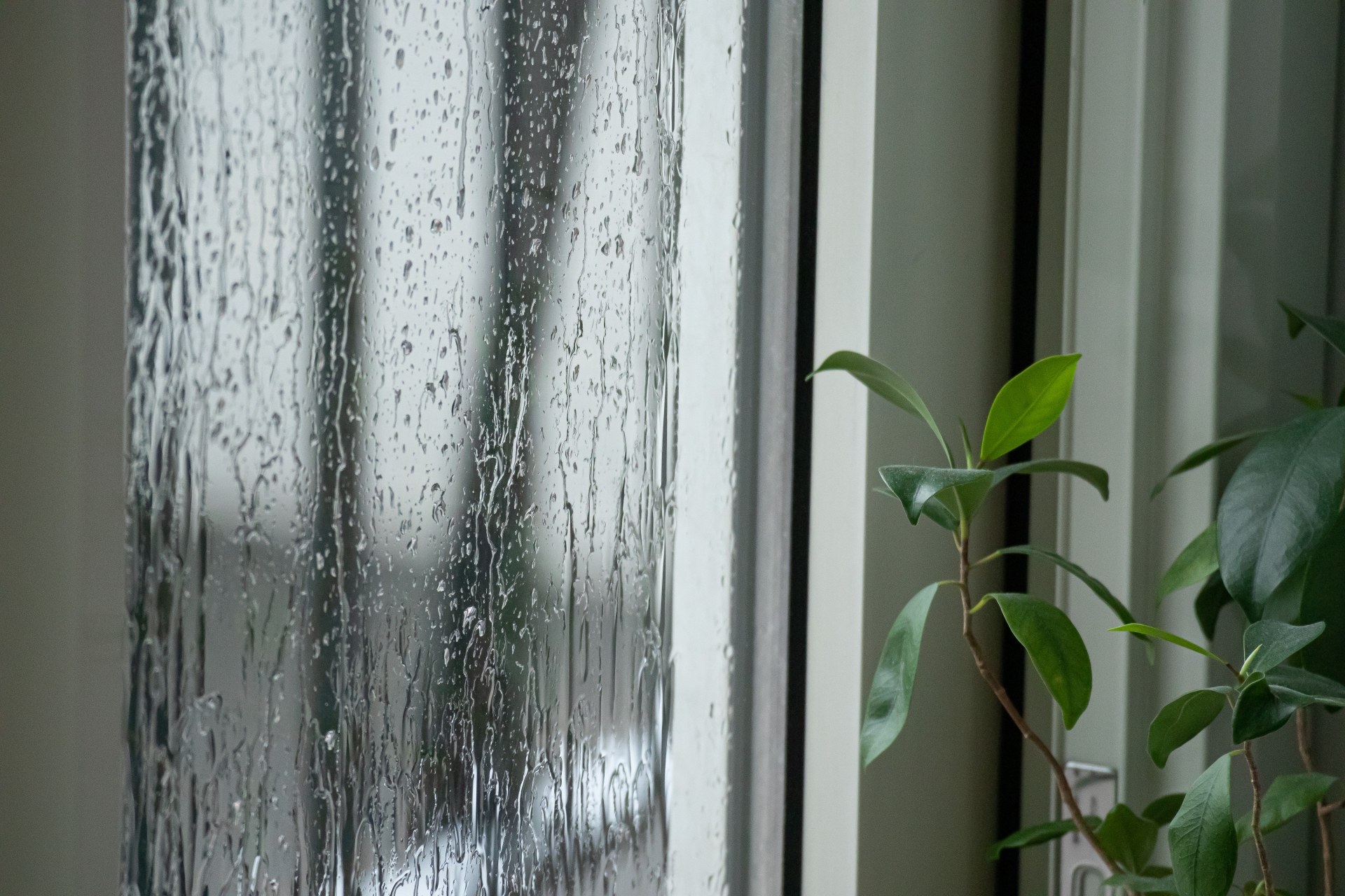 カビ・ダニ・アレルギー対策!梅雨の室内環境整備