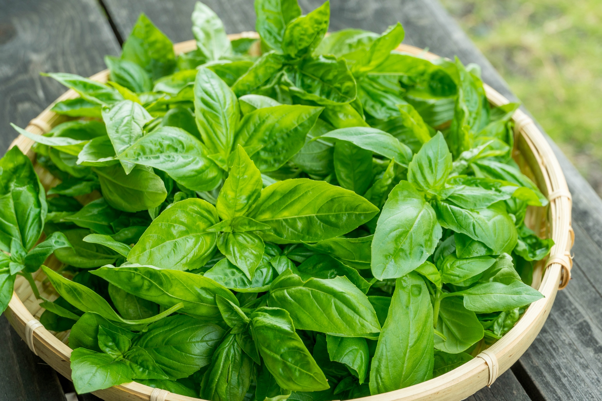 植物のパワーが美肌を作る