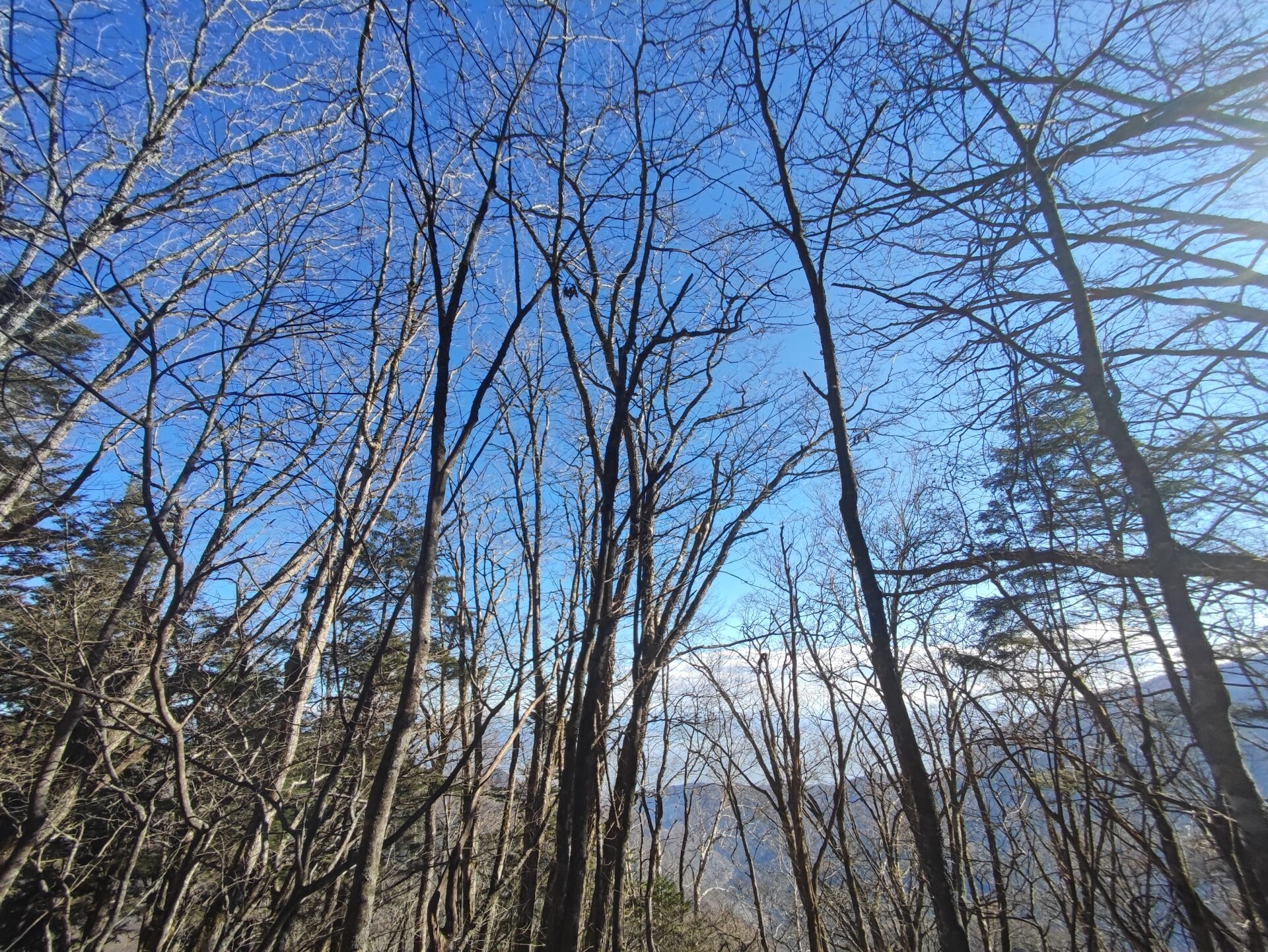 イオン導入って、肌に効果あるの？