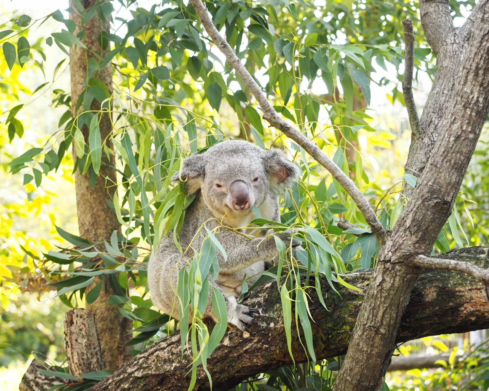 植物が持つ力を肌へ…