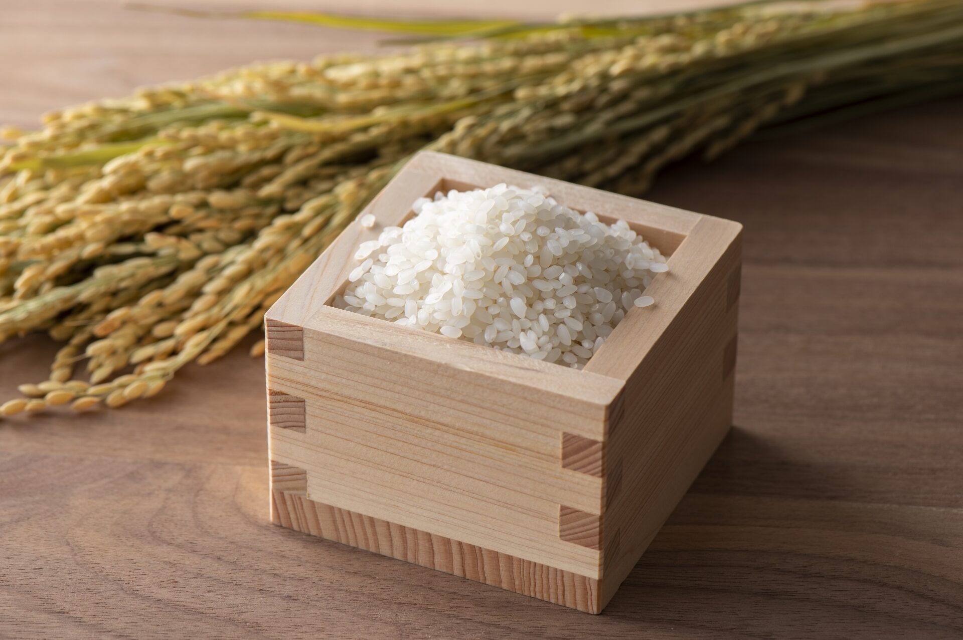 『米』と微生物のコラボが凄い！