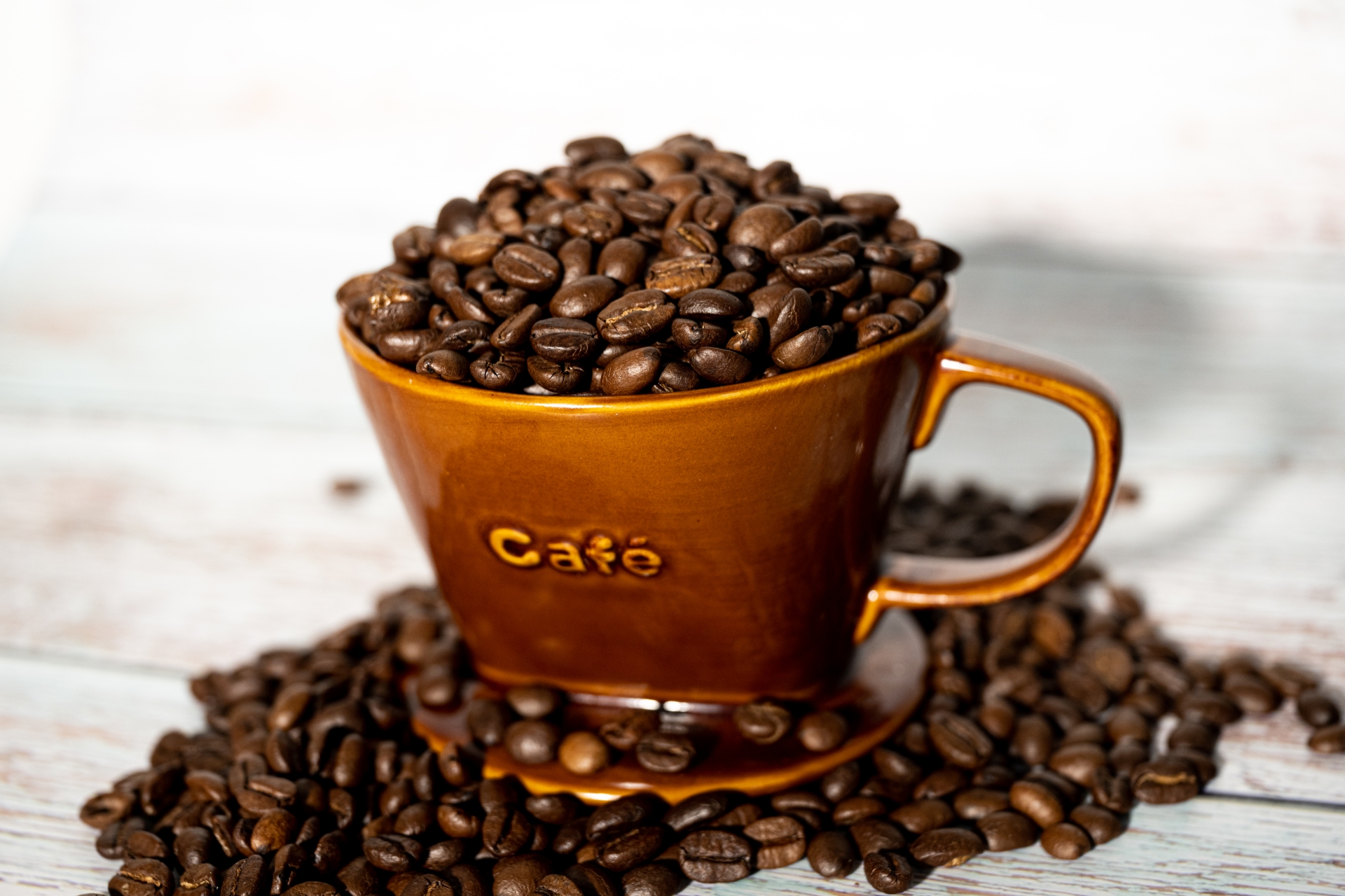 シワのキーマンは繊維芽細胞