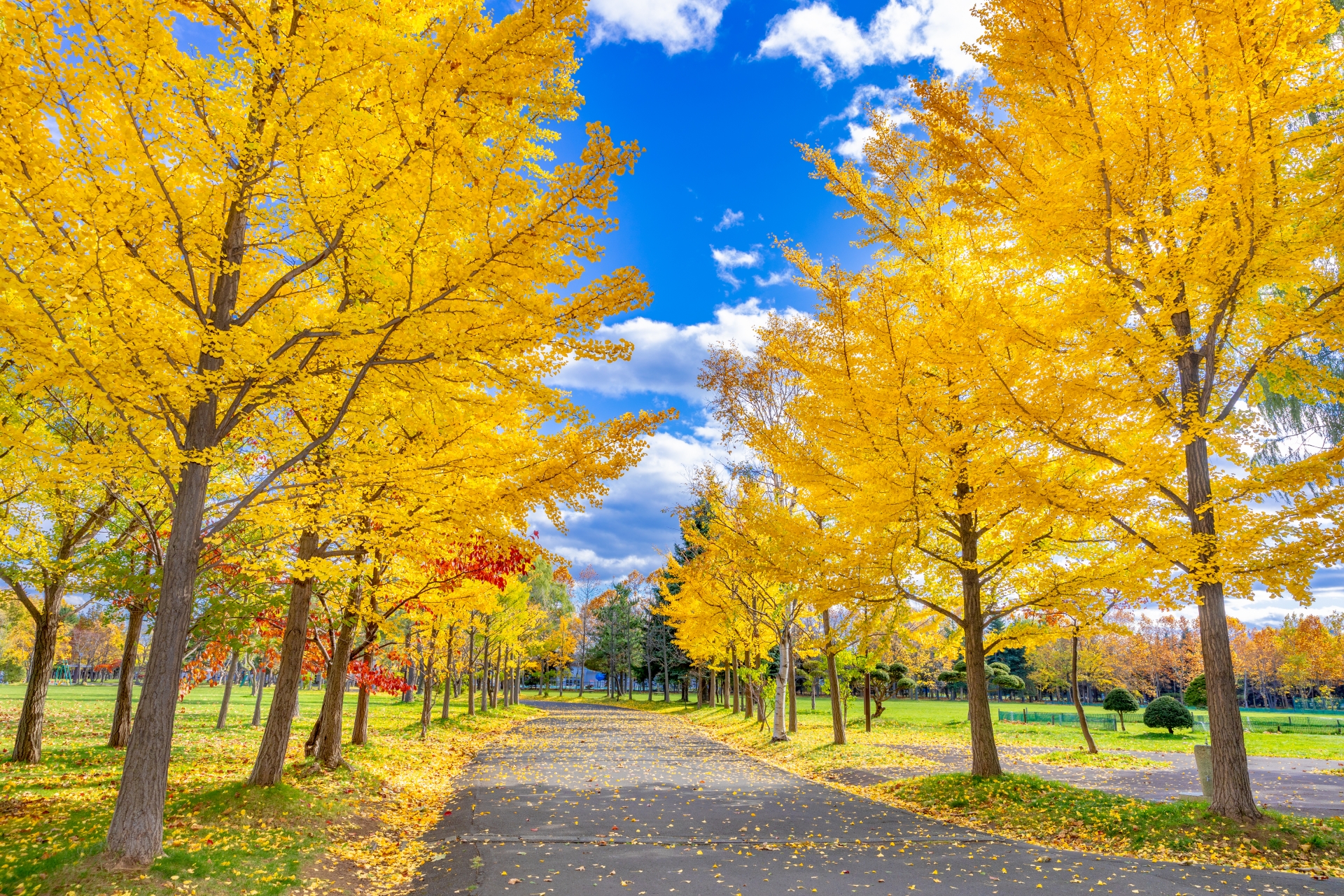 肌トラブルが増える秋