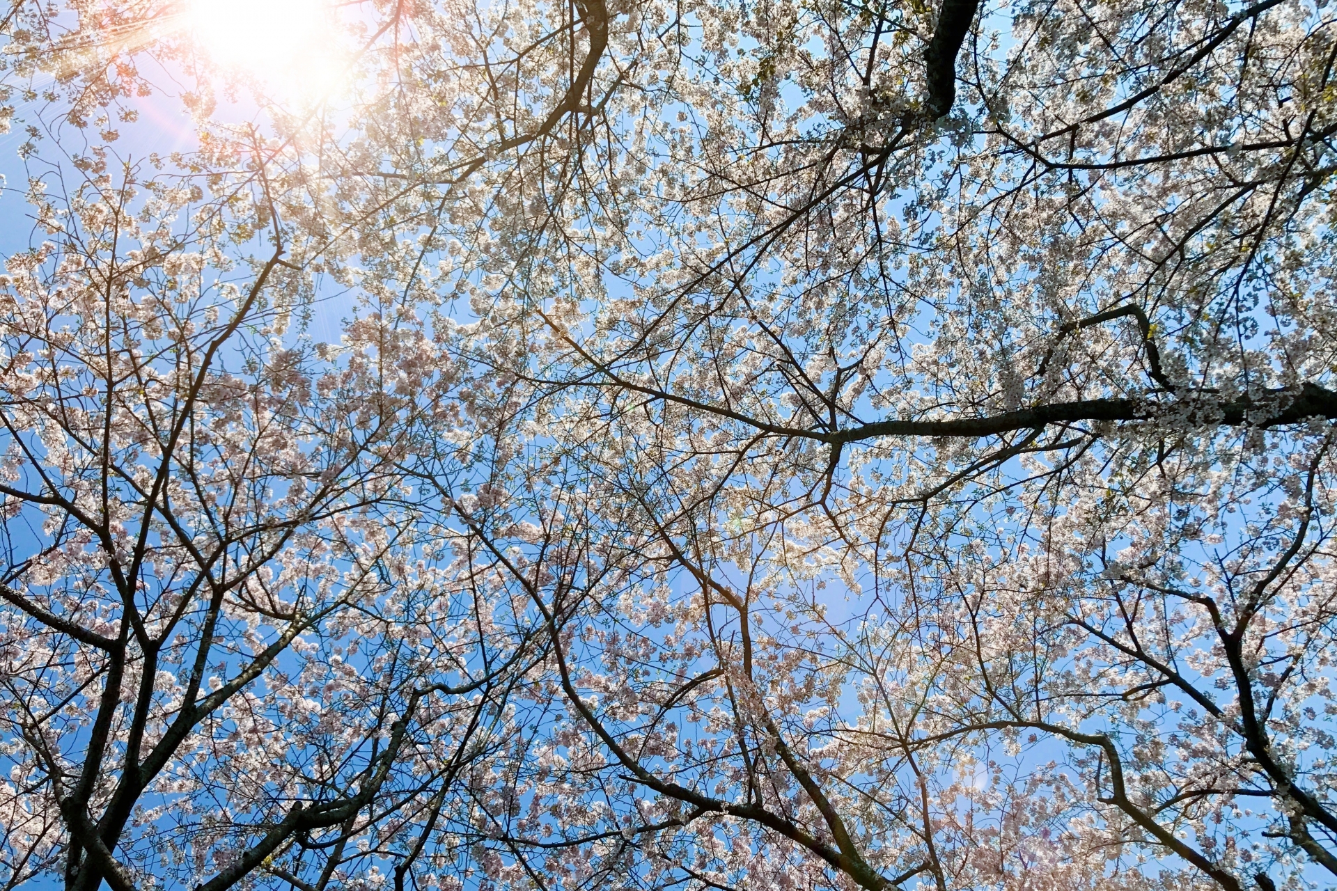 失敗しない紫外線対策