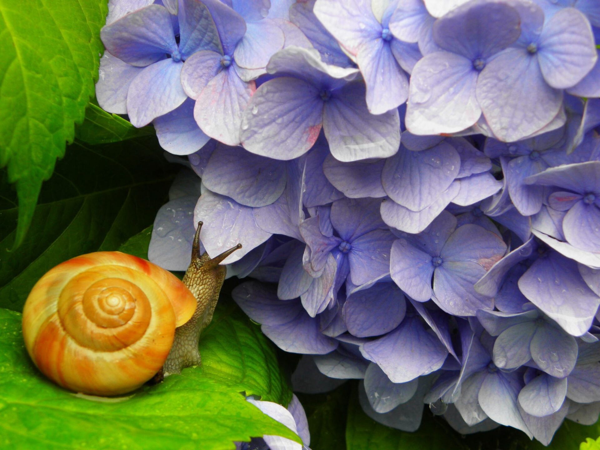 「育菌ケア」必須アイテム