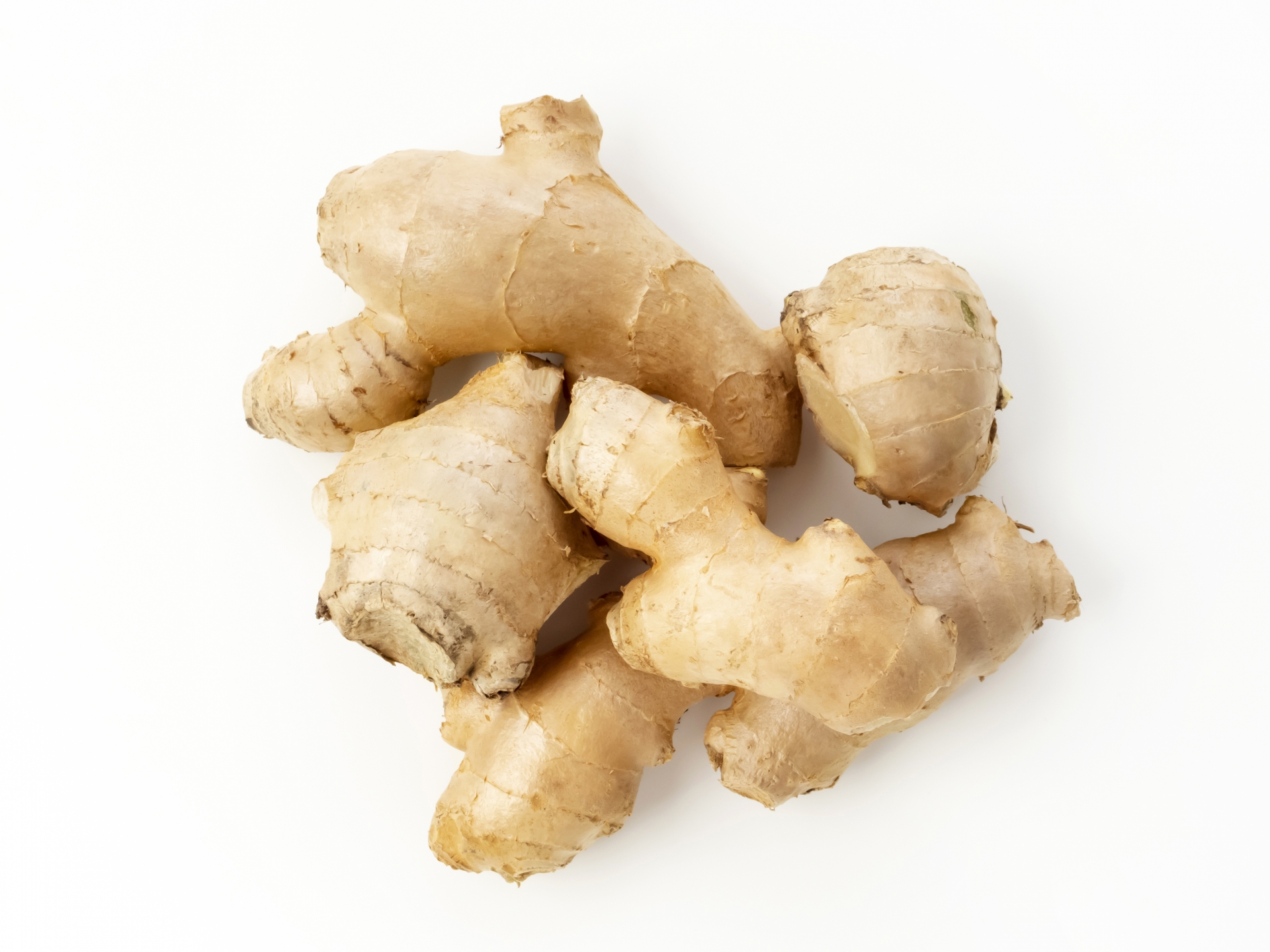 毛細血管は再生できる